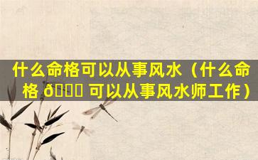 什么命格可以从事风水（什么命格 🍁 可以从事风水师工作）